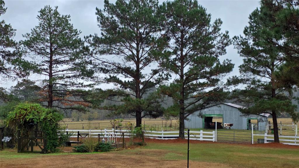 236 Charlie Cannon Road Coushatta, LA 71019 - Photo 26 of 39 View of yard featuring an outbuilding and a view of rural / pastoral area