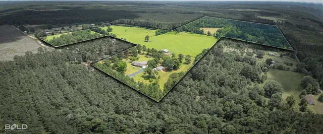 $725,000 | 236 Charlie Cannon Road, Coushatta, LA 71019