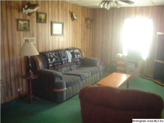 4625 Highway 24 Springville Al Springville, AL 35146 - Photo 11 of 29