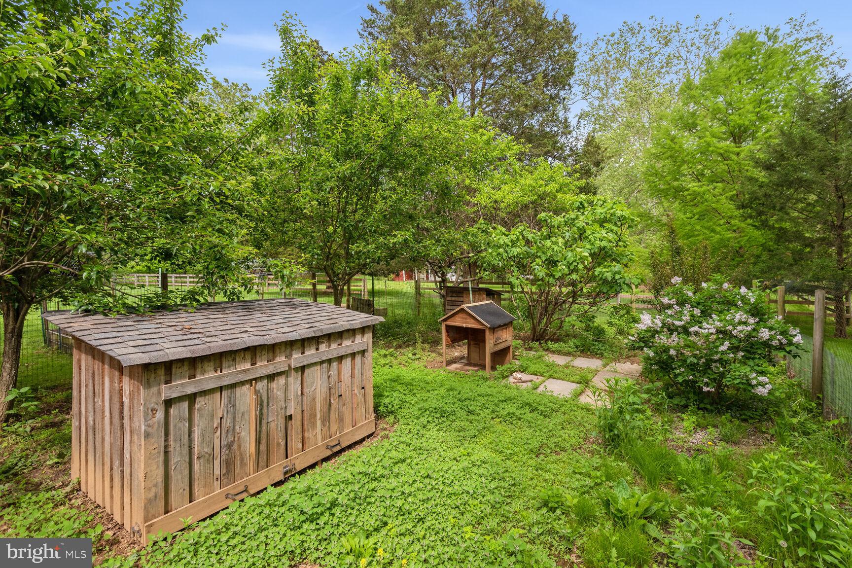 10911 Edison Road Potomac, MD 20854 - Photo 57 of 66 Garden