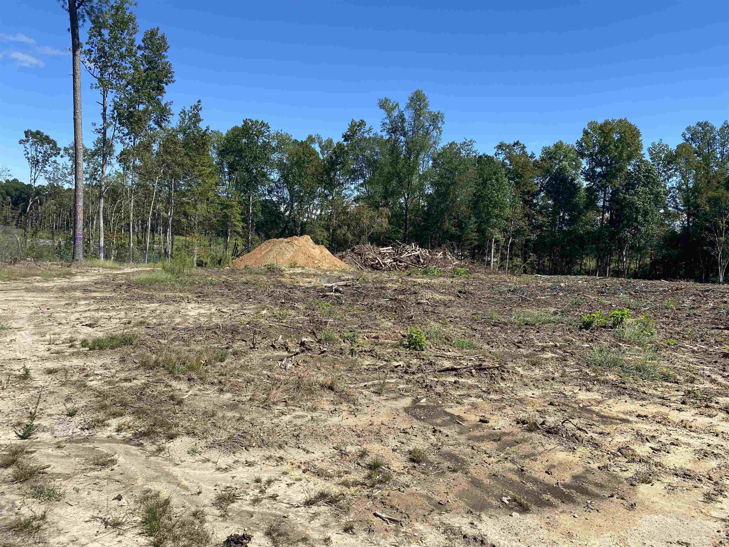 259 Embro-Vaughn Road Macon, NC 27551 - Photo 19 of 29 Photo 19