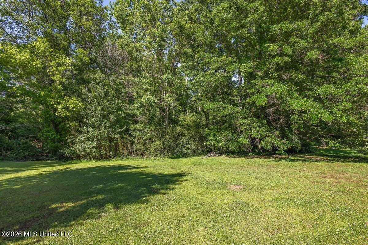 4424 Blake Circle Byram, MS 39272 - Photo 4 of 24 Yard