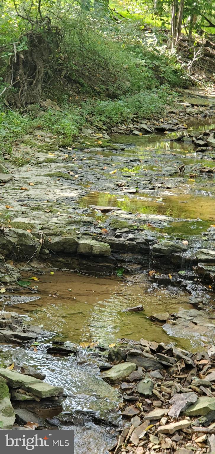 2575 Steinsburg Road Quakertown, PA 18951 - Photo 2 of 23