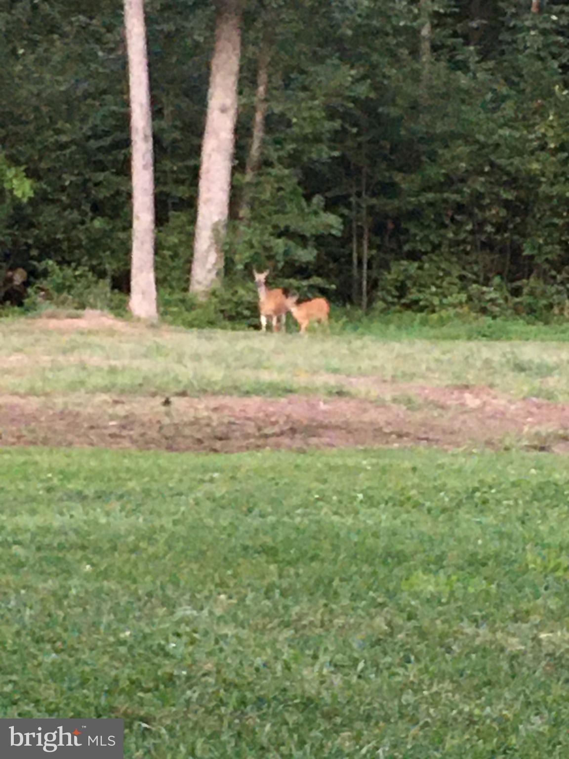 2575 Steinsburg Road Quakertown, PA 18951 - Photo 22 of 23