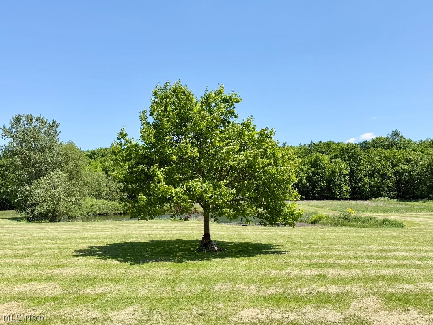 28509 Hawley Road Sullivan, OH 44880 - Photo 41 of 45