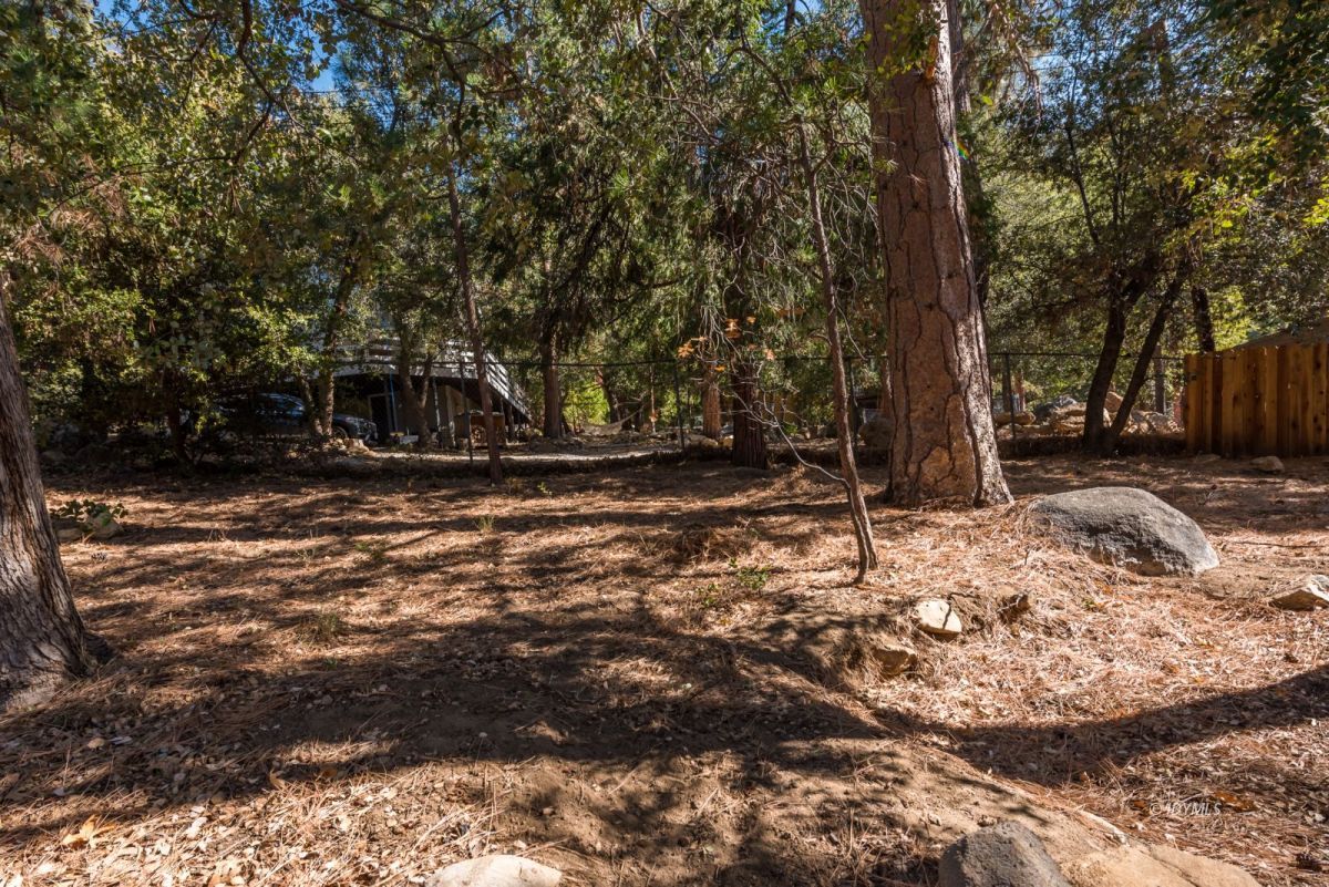 25650 Seneca Road Idyllwild, CA 92549 - Photo 14 of 23 a view of a tree in the middle of a yard