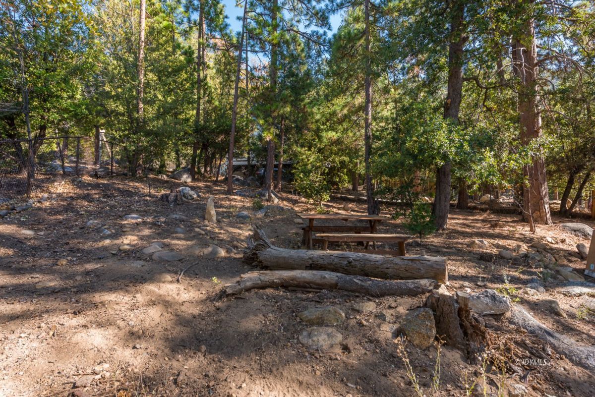 25650 Seneca Road Idyllwild, CA 92549 - Photo 16 of 23 a view of backyard with green space