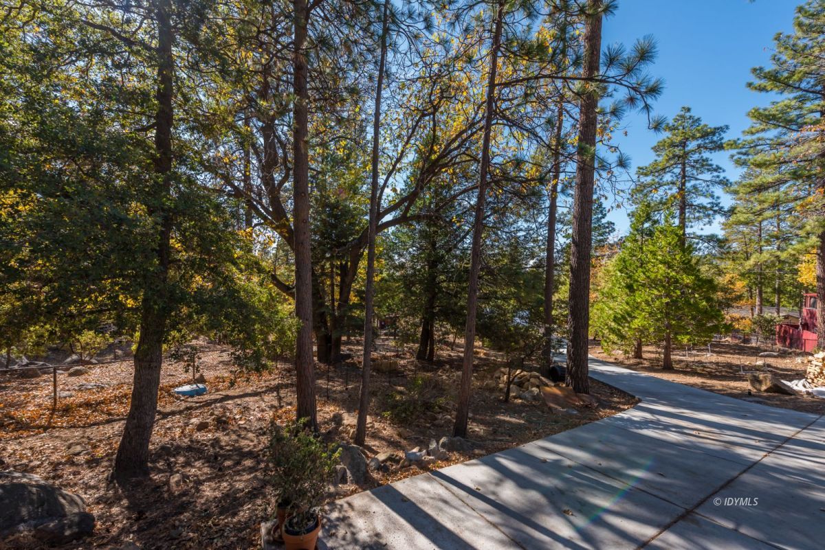 25650 Seneca Road Idyllwild, CA 92549 - Photo 20 of 23 a view of a yard with plants and trees