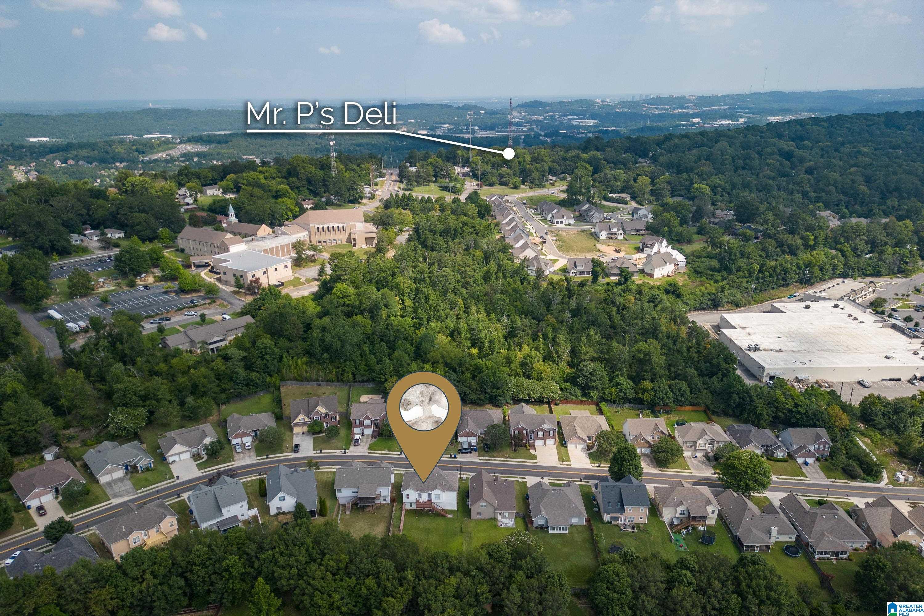 655 Clearview Road Birmingham, AL 35226 - Photo 44 of 47