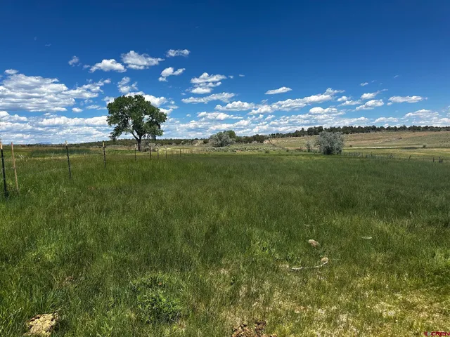 a view of a golf course with a lake
