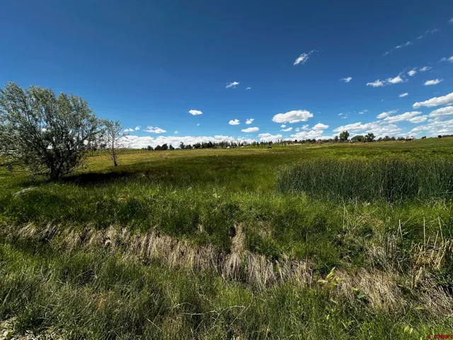 a view of a lake and green space