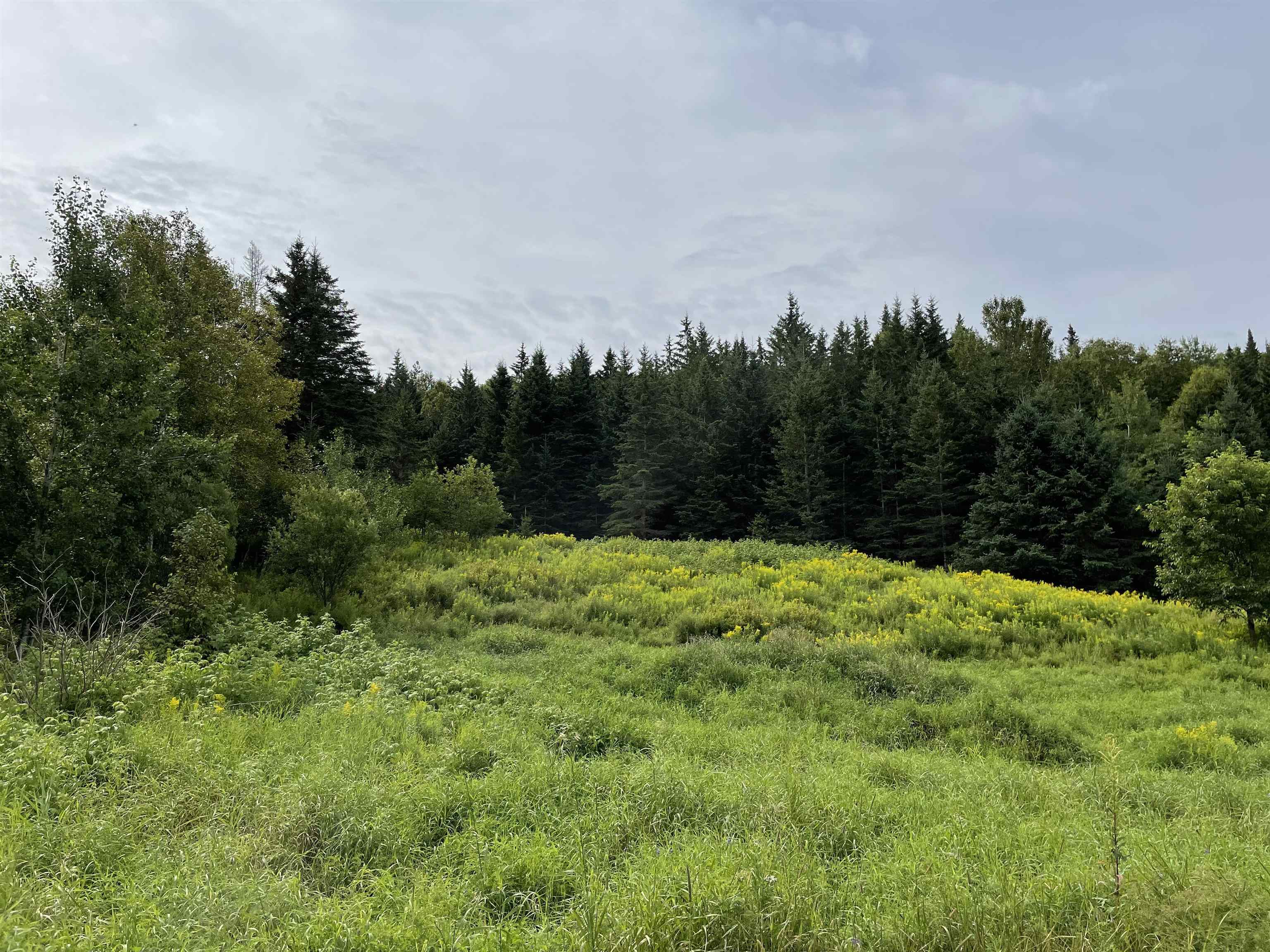 20-25 Washburn Road Colebrook, NH 03576 - Photo 21 of 30