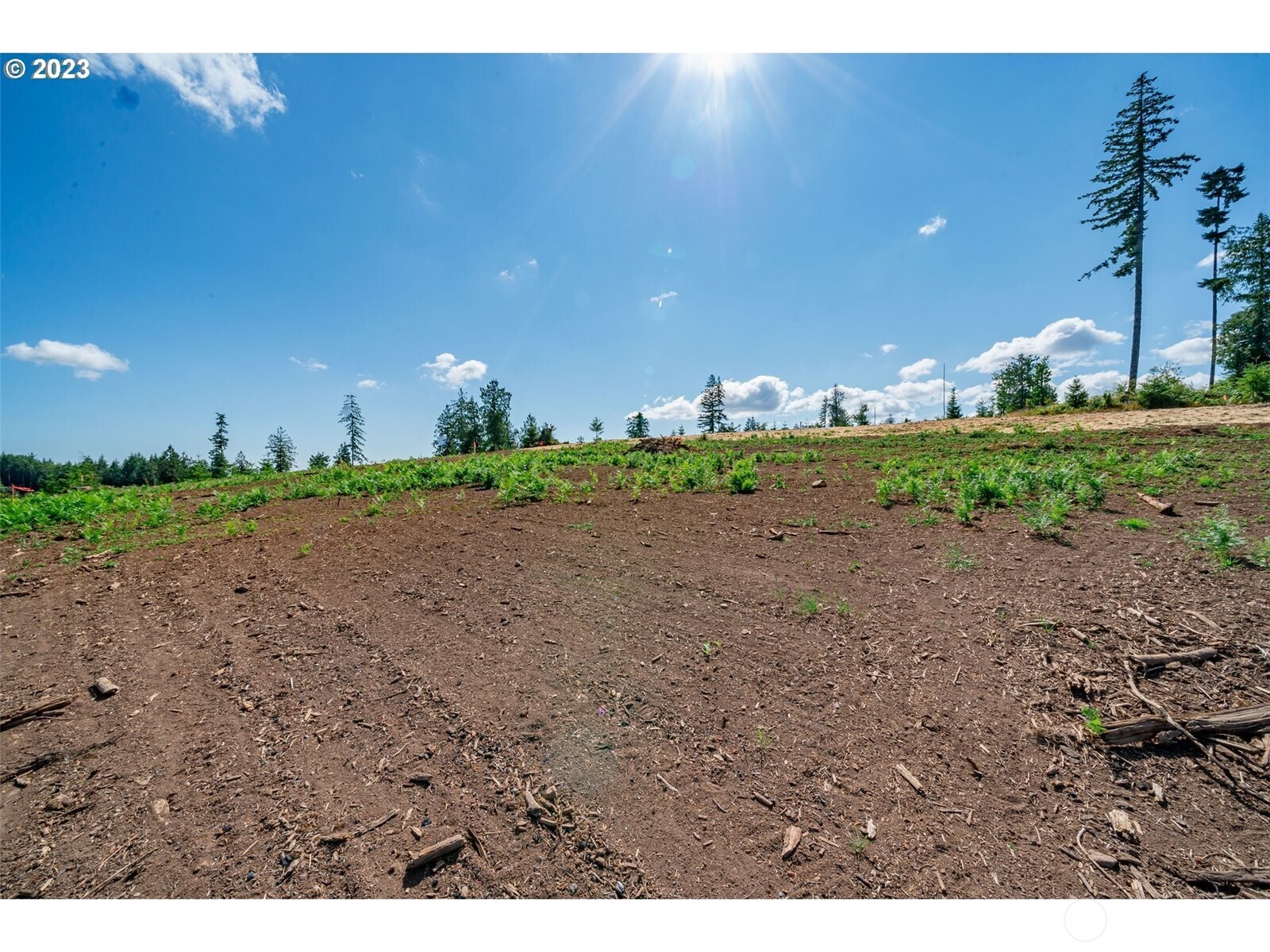 0 South Silver Lake Road Castle Rock, WA 98611 - Photo 5 of 10