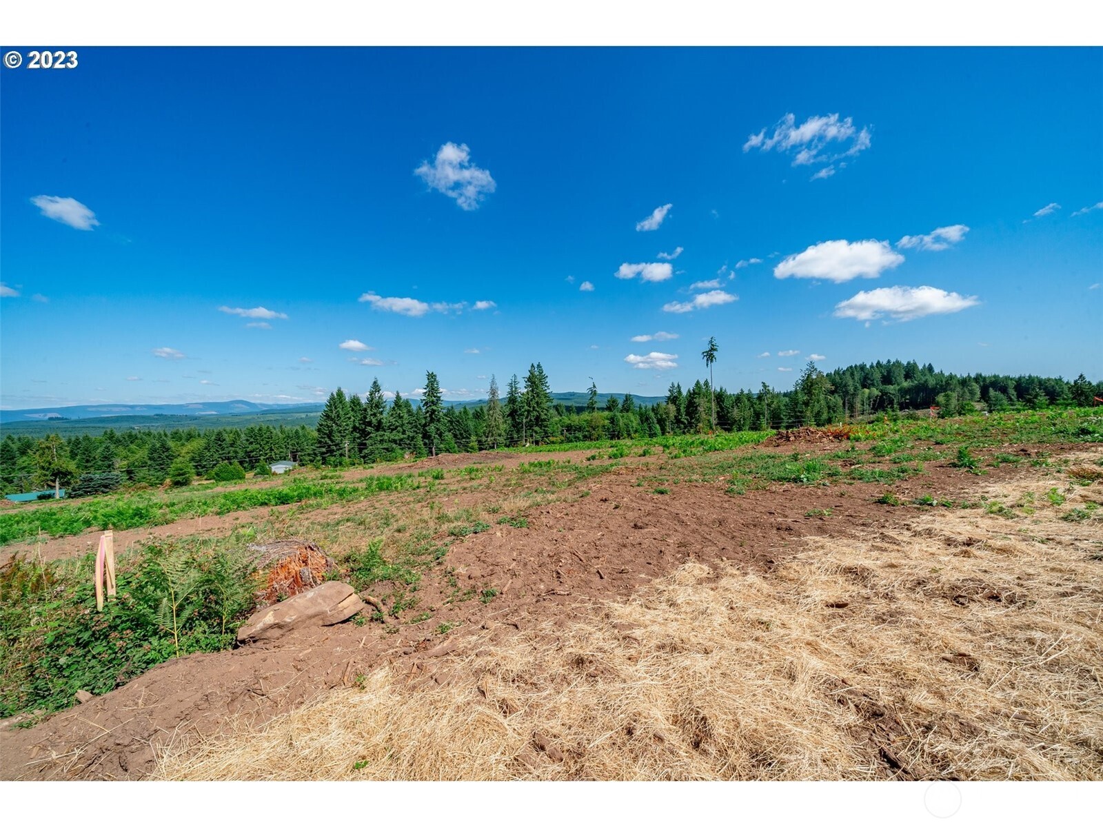 0 South Silver Lake Road Castle Rock, WA 98611 - Photo 7 of 10