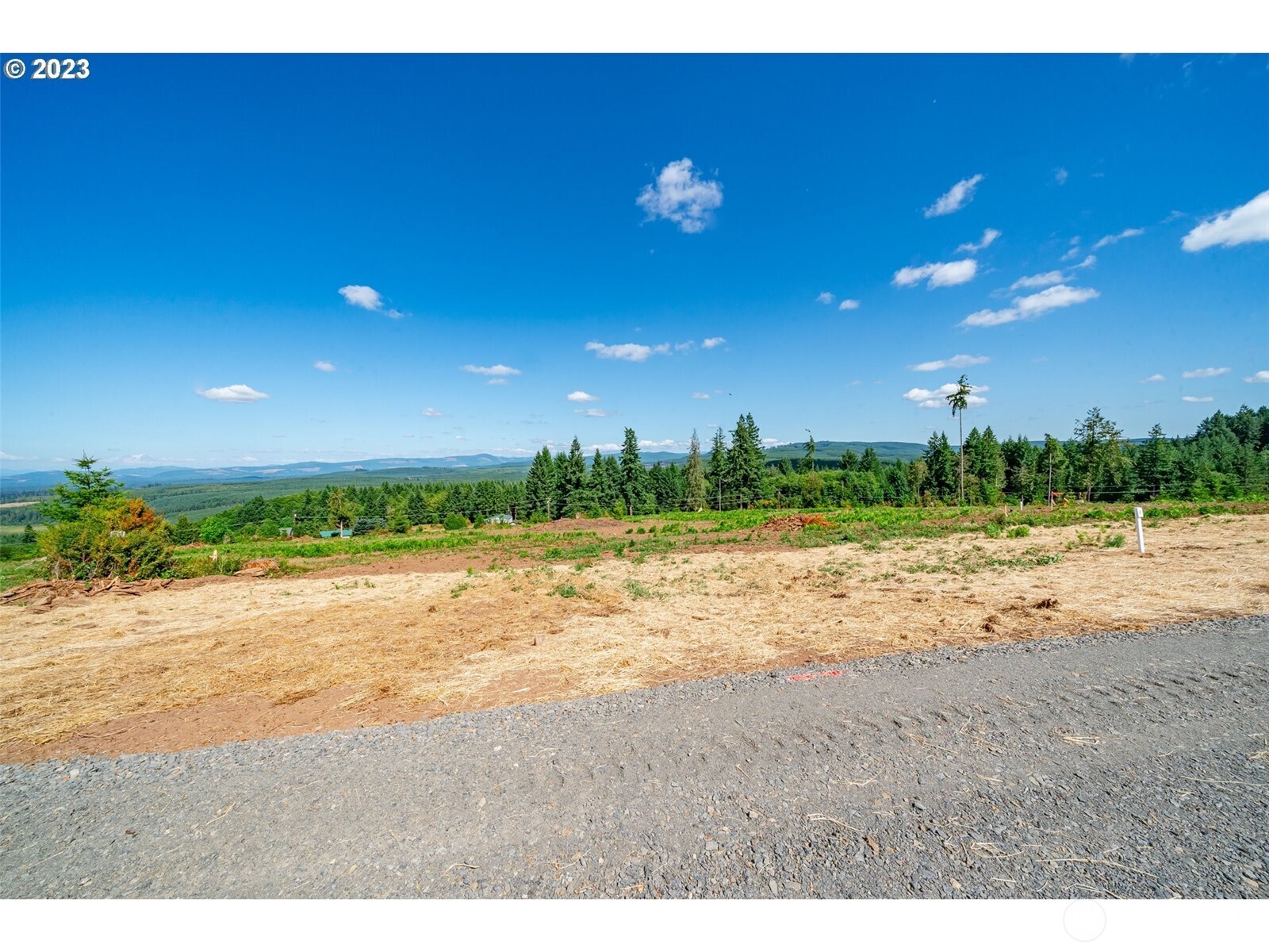 0 South Silver Lake Road Castle Rock, WA 98611 - Photo 8 of 10