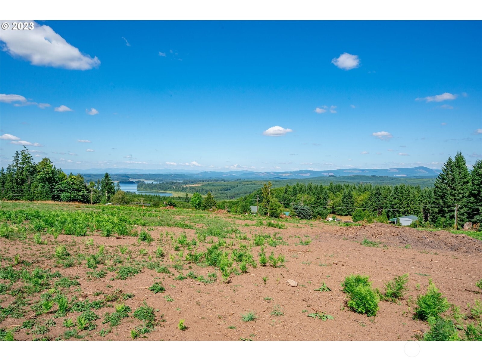 0 South Silver Lake Road Castle Rock, WA 98611 - Photo 9 of 10