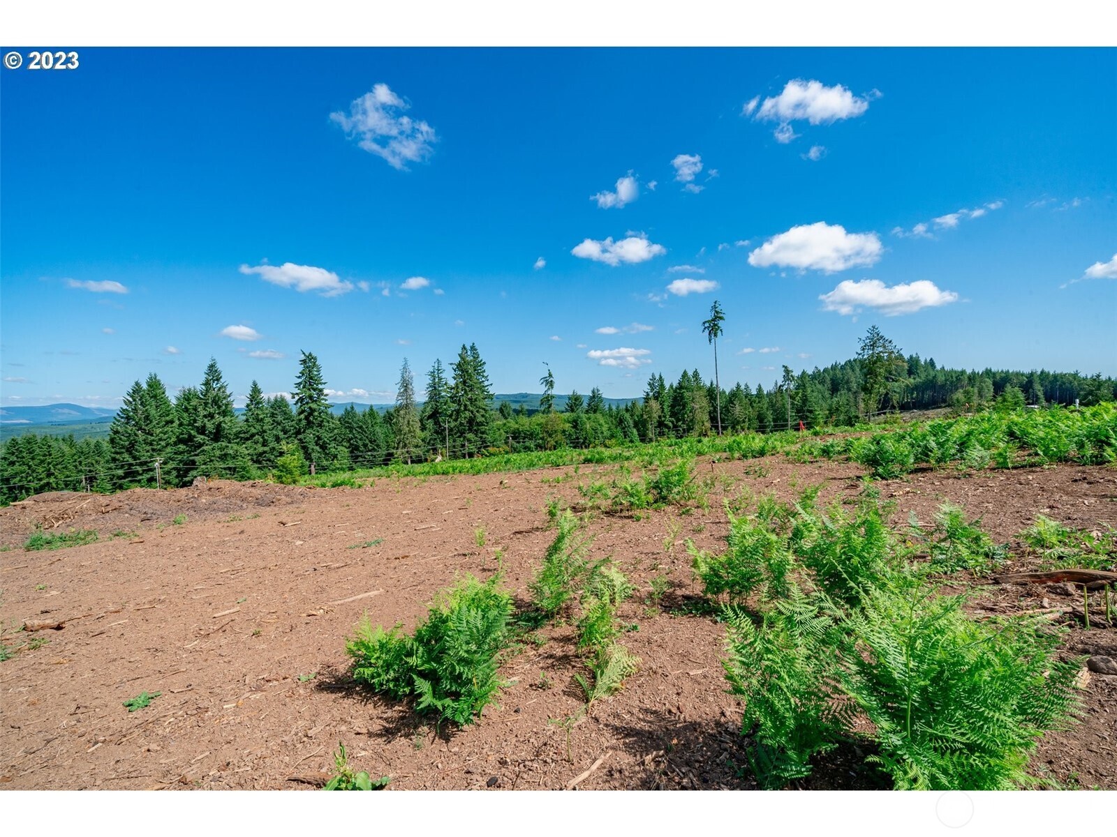 0 South Silver Lake Road Castle Rock, WA 98611 - Photo 10 of 10