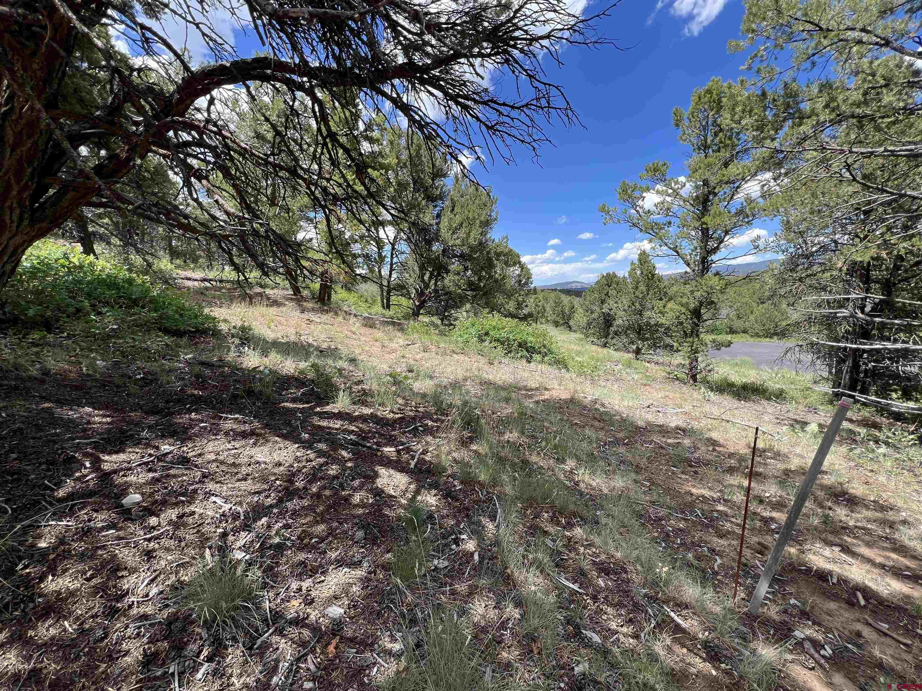 Lot 9 Pointe Escape Drive Ridgway, CO 81432 - Photo 10 of 33