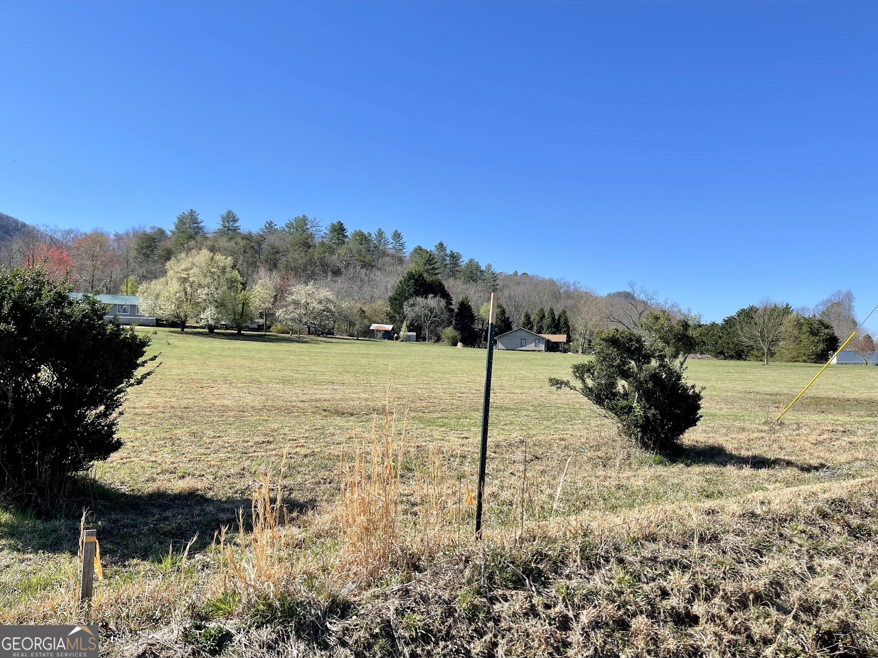 0 Stella Lane Rabun Gap, GA 30568 - Photo 9 of 9 a view of a yard
