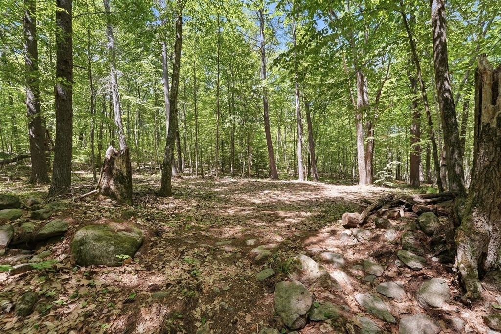 0 Carter Pond Road Petersham, MA 01366 - Photo 11 of 18