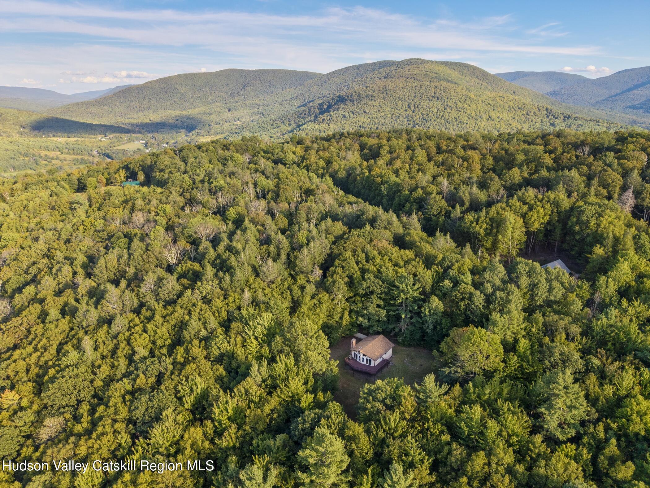 321 Terrace Drive Lexington, NY 12468 - Photo 49 of 61 Image-43