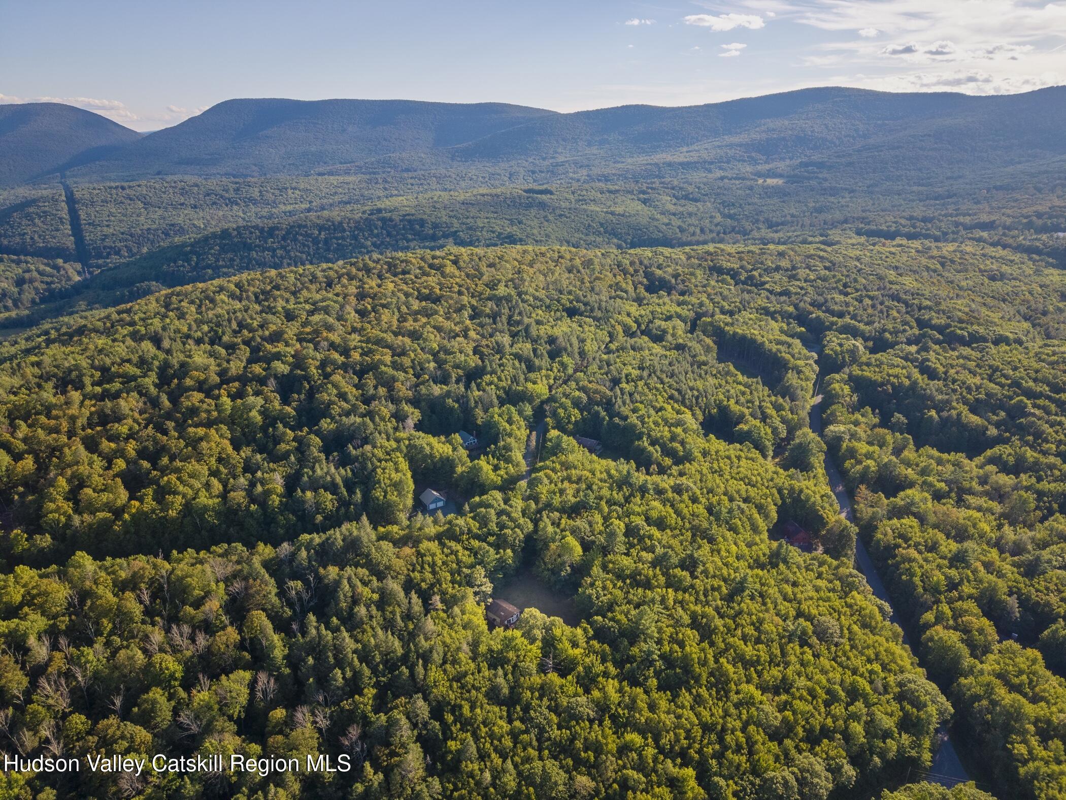 321 Terrace Drive Lexington, NY 12468 - Photo 51 of 61 Image-41