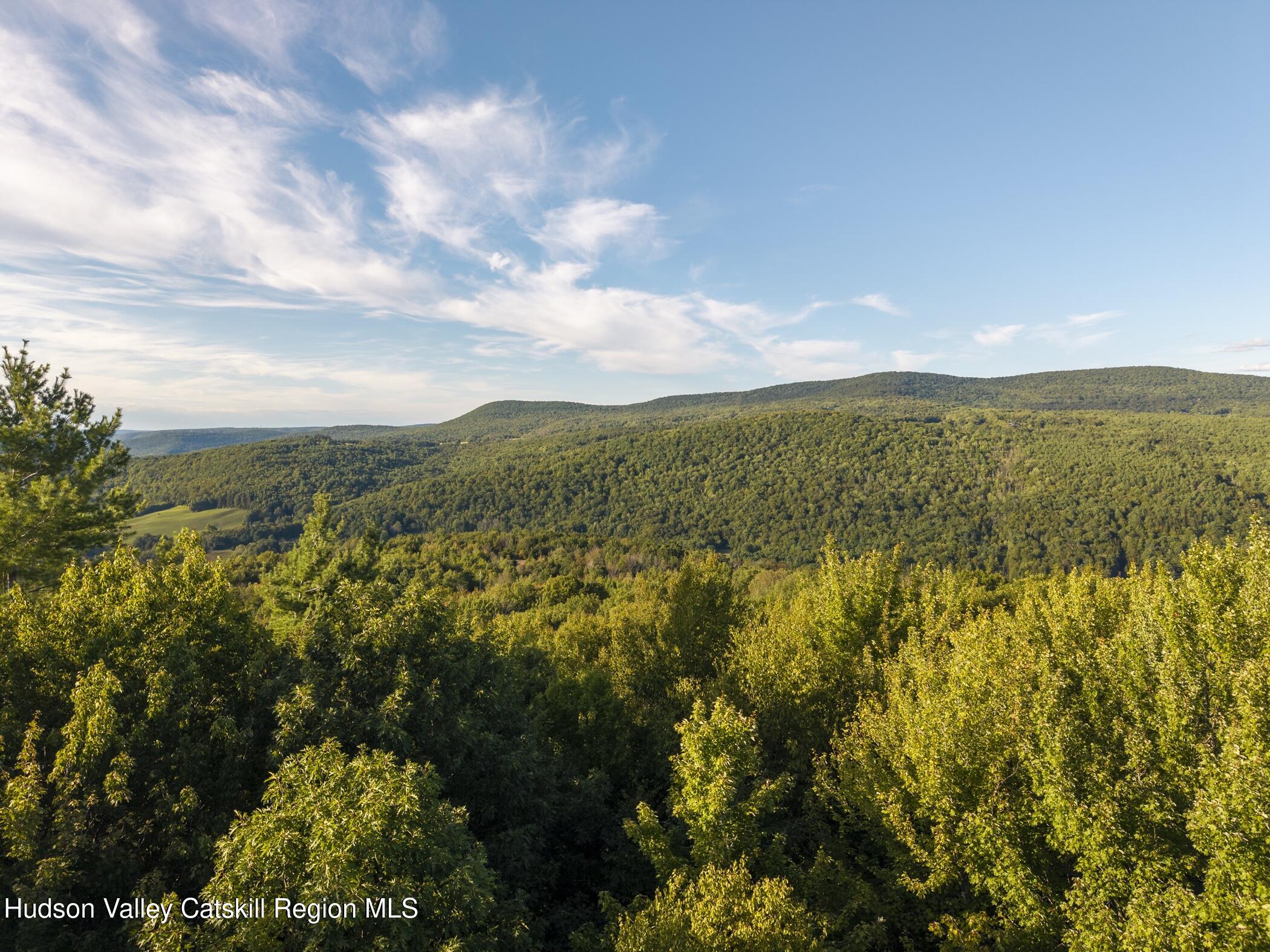 321 Terrace Drive Lexington, NY 12468 - Photo 54 of 61 Image-53