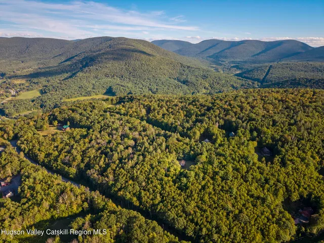 $425,000 | 321 Terrace Drive, Lexington, NY 12468