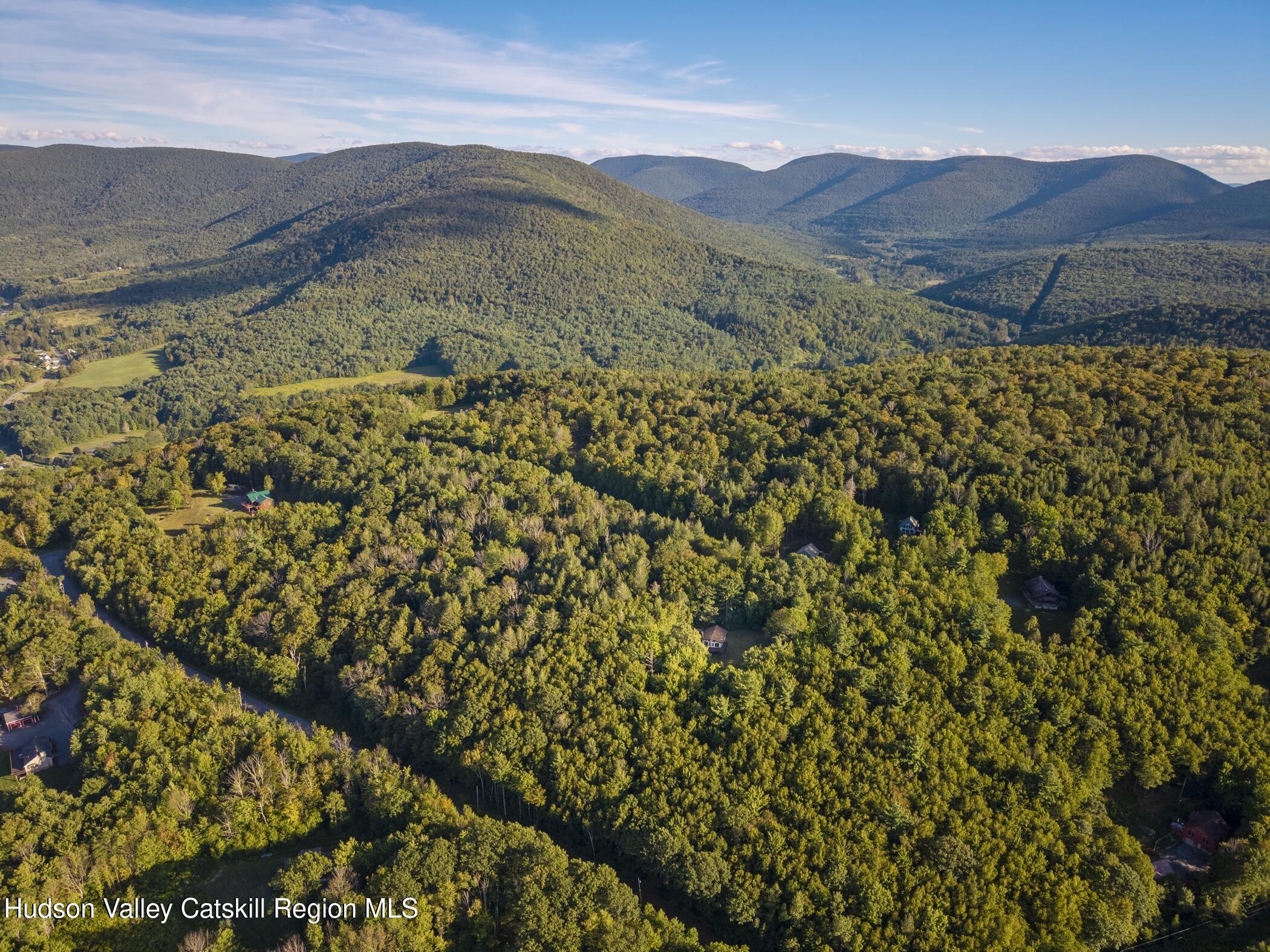 321 Terrace Drive Lexington, NY 12468 - Photo 57 of 61 Image-40