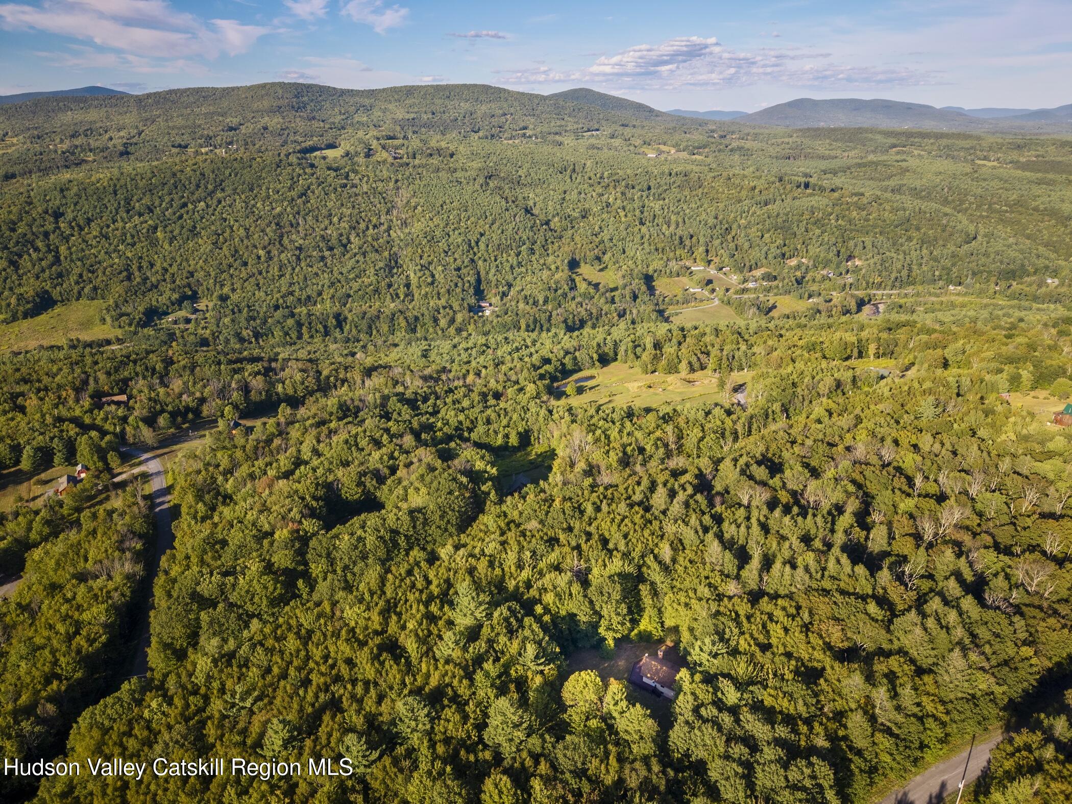 321 Terrace Drive Lexington, NY 12468 - Photo 59 of 61 Image-39