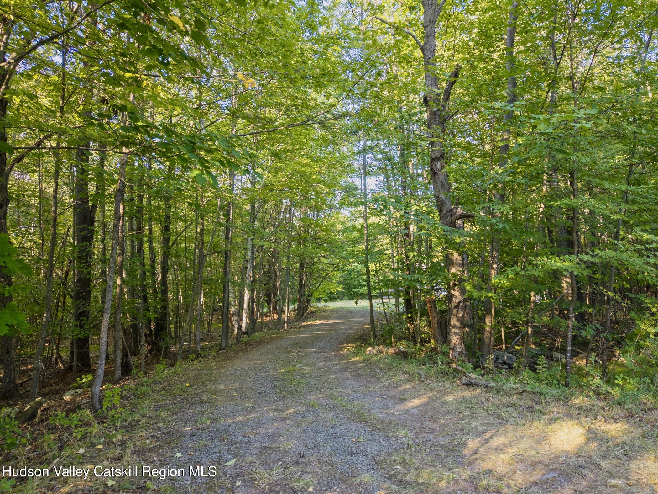 321 Terrace Drive Lexington, NY 12468 - Photo 60 of 61 Image-38