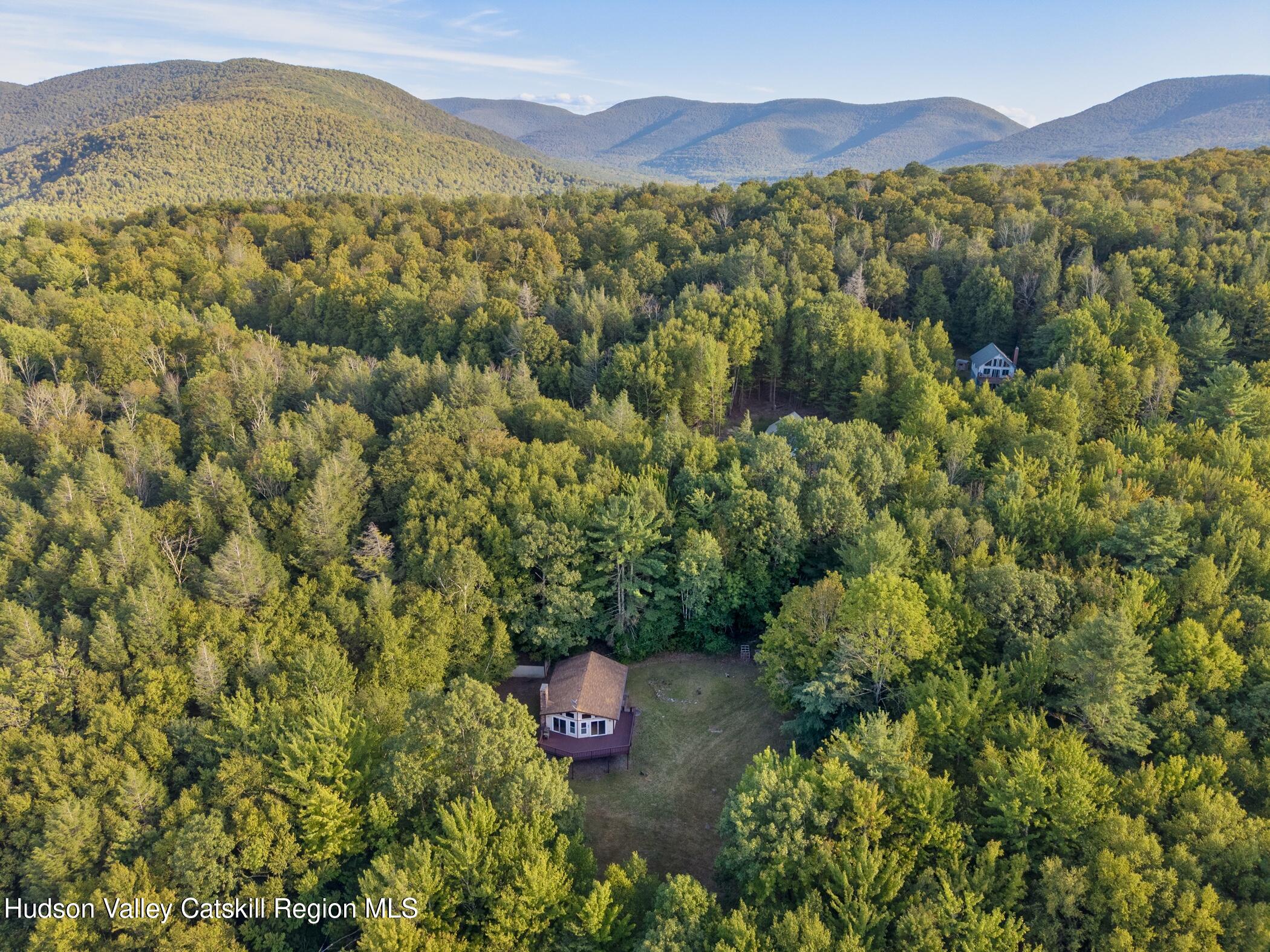 321 Terrace Drive Lexington, NY 12468 - Photo 6 of 61 Image-46