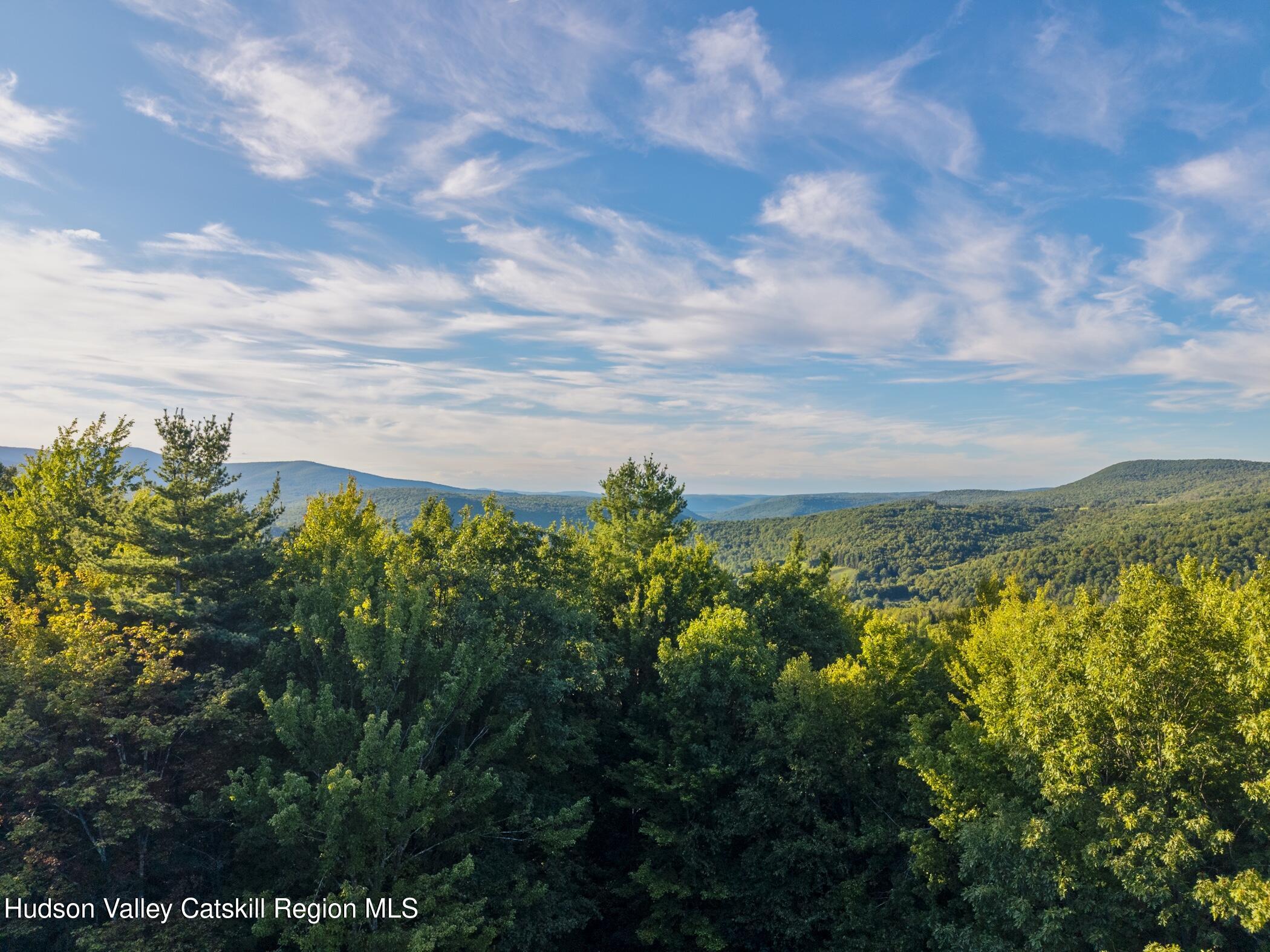 321 Terrace Drive Lexington, NY 12468 - Photo 7 of 61 Image-62