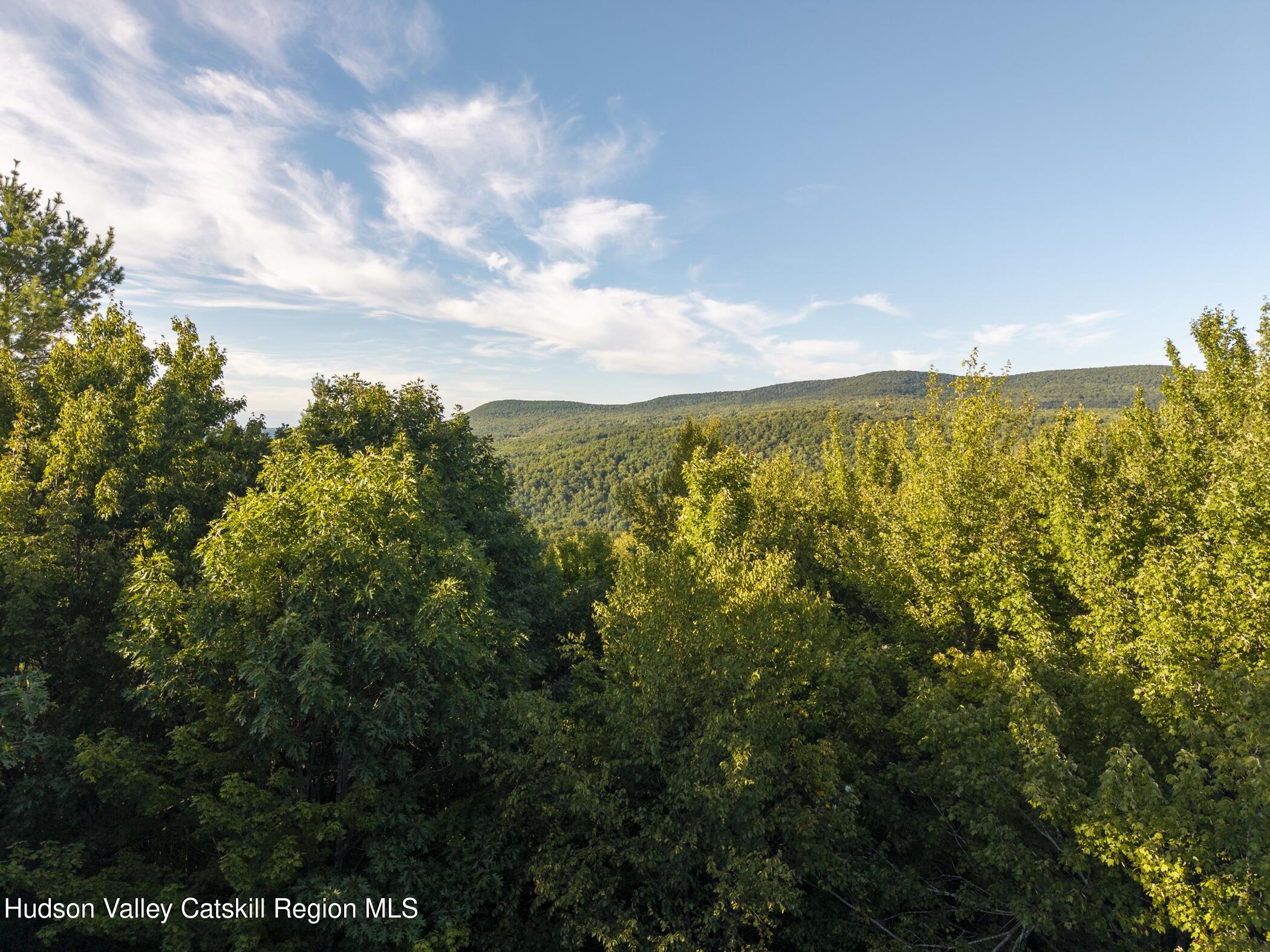 321 Terrace Drive Lexington, NY 12468 - Photo 8 of 61 Image-52