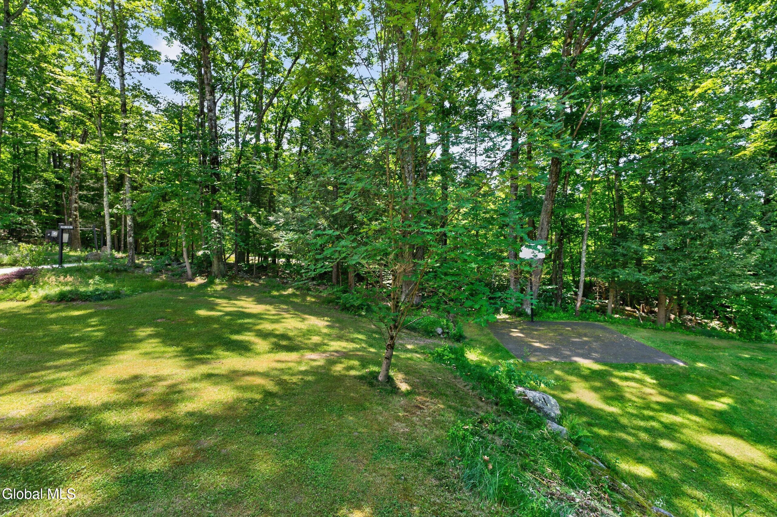 25 Hawthorne Hill Road Brainard, NY 12024 - Photo 55 of 62 Photo60