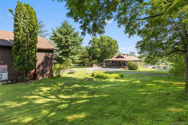 a view of a forest with a lush green forest