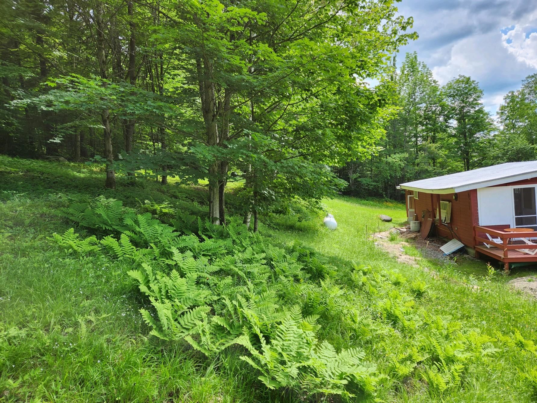 3639 Plot Road Johnson, VT 05656 - Photo 5 of 12