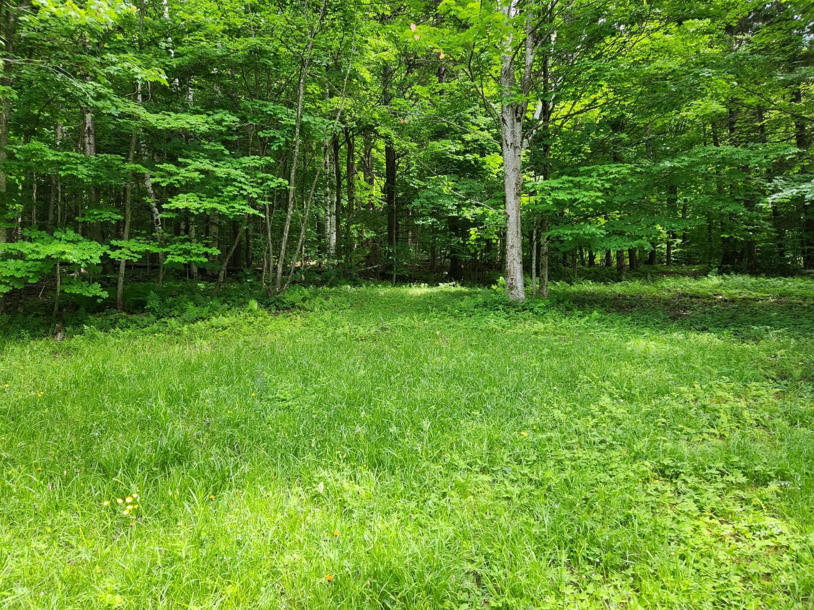 3639 Plot Road Johnson, VT 05656 - Photo 6 of 12