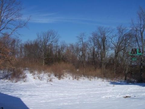2587 Dryden Road Metamora, MI 48455 - Photo 2 of 3 570585-1.JPG