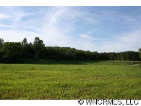 999 Edgerton Road Mill Spring, NC 28756 - Photo 11 of 12 a view of a field of grass and trees