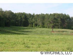 999 Edgerton Road Mill Spring, NC 28756 - Photo 12 of 12 a view of a park
