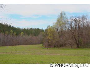 999 Edgerton Road Mill Spring, NC 28756 - Photo 3 of 12 a view of a yard