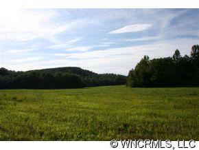 999 Edgerton Road Mill Spring, NC 28756 - Photo 5 of 12 a view of an ocean and a yard