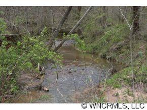 999 Edgerton Road Mill Spring, NC 28756 - Photo 6 of 12 a view of a yard with a tree