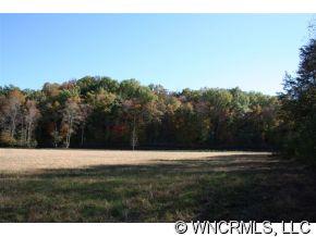 999 Edgerton Road Mill Spring, NC 28756 - Photo 7 of 12 a view of outdoor space and yard