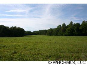 999 Edgerton Road Mill Spring, NC 28756 - Photo 9 of 12 a view of a field of grass and trees