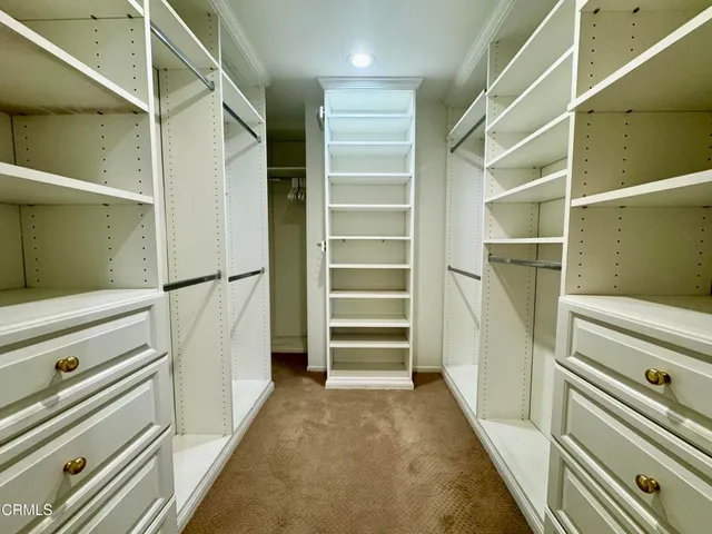 a view of a backyard with plants and palm tree