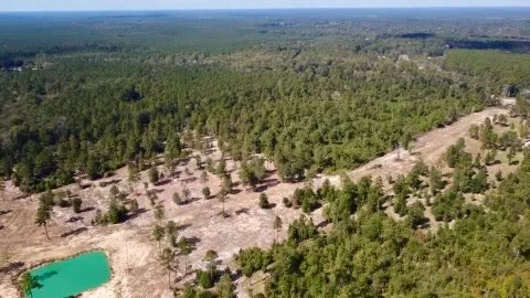 a view of a field with trees in background