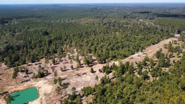 $140,000 | 17224 Farm To Market Road 943, Livingston, TX 77351