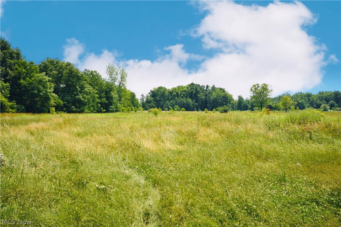 5694 Middle Ridge Road Madison, OH 44057 - Photo 18 of 27 View of nature featuring a rural view